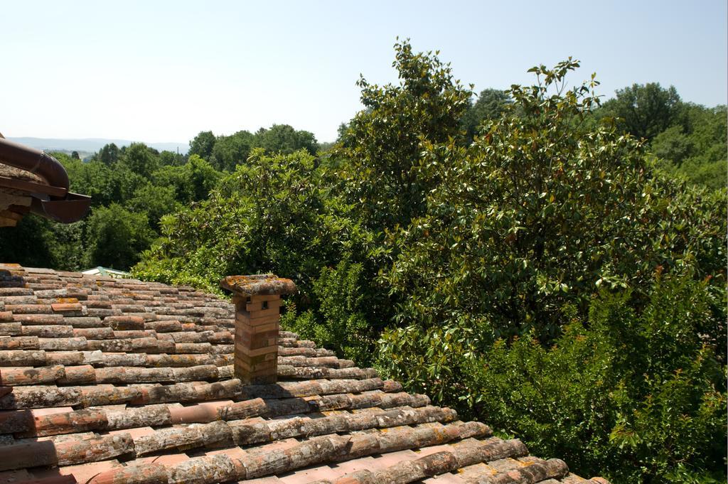 Agriturismo San Giusto Villa Sovicille Exterior photo